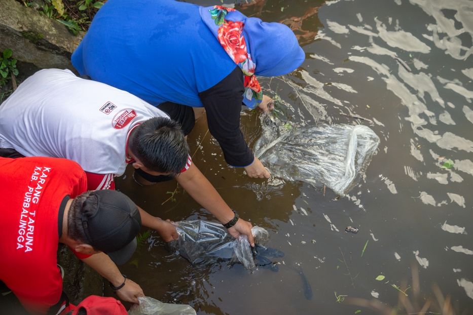 Penebaran Benih Ikan di Sungai Klawing dilakukan oleh Ibu Kepala Desa Dagan Hj. Sukarni, S.Sos dan Sekcam Bobotsari.