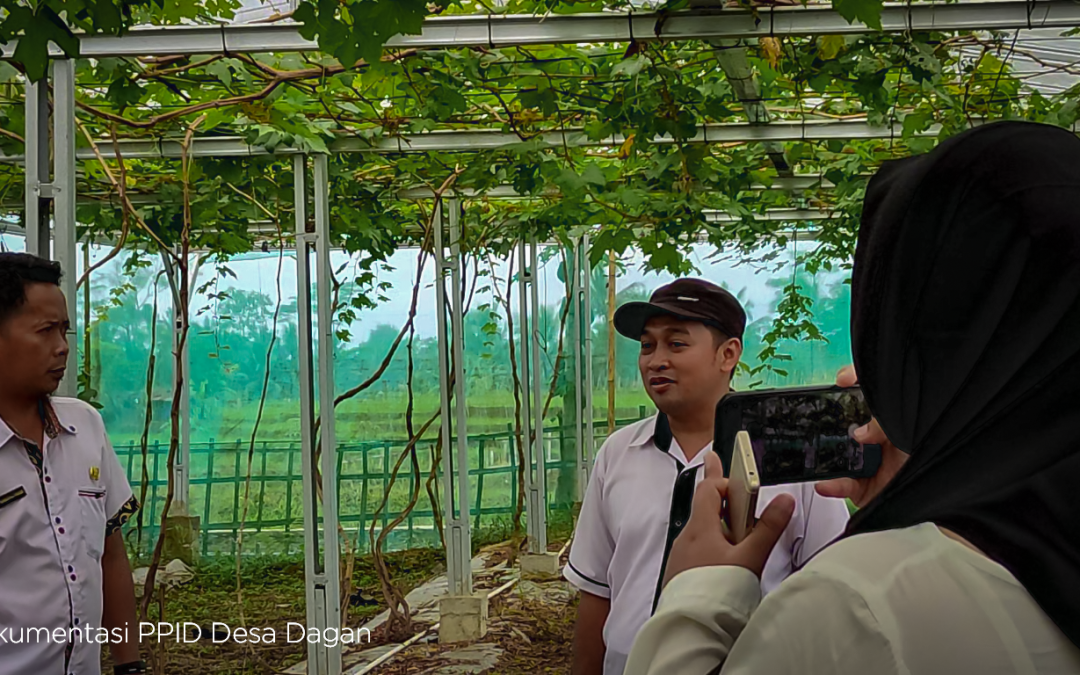 Garap Program Ketahanan Pangan, Pemdes Maribaya Kunjungi Kebun Anggur Desa Dagan