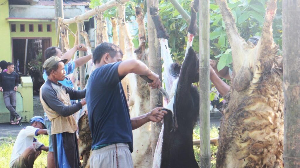 Pentembelihan hewan kurban di wilayah dusun 5 desa Dagan